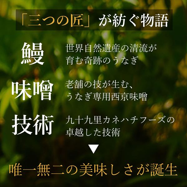 元祖・鰻味噌漬け「竹」(一箱2尾入り)